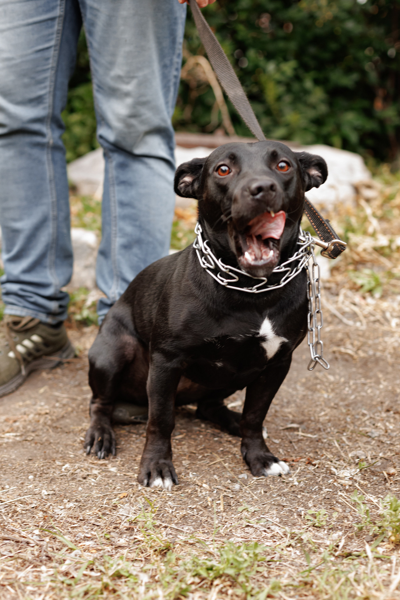 ОПГ Хлеб-Соль. Усадьба Рябинина