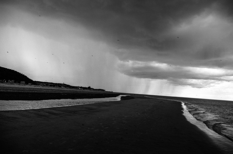 Summer Shore. Vitaly Severov