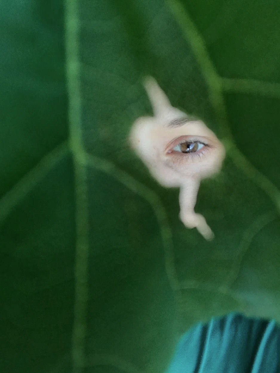 Аня Зайцева «Видимое-невидимое». Private image