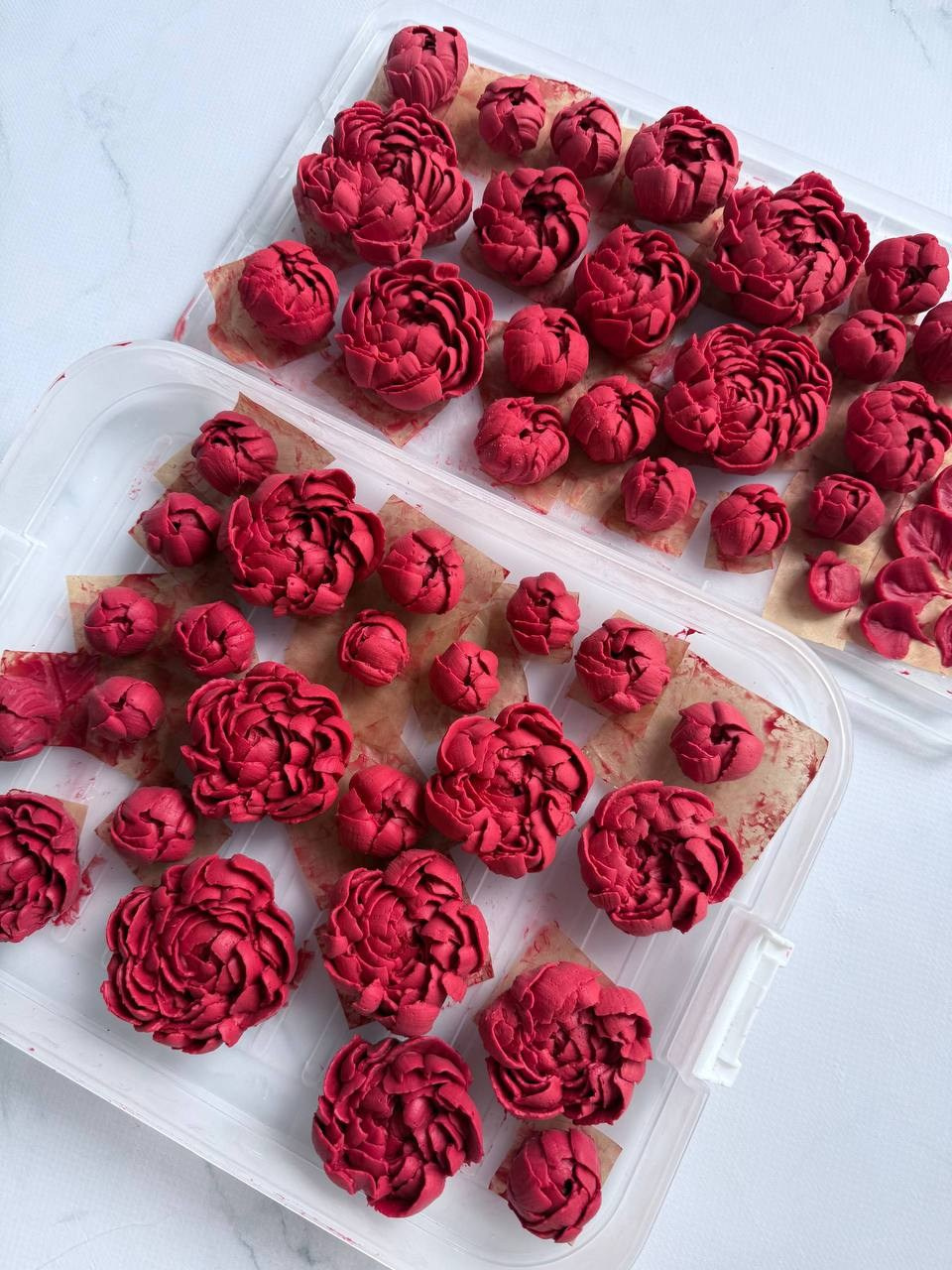 Работы учениц. Аникина Юлия / Кремовая флористика в корейской технике