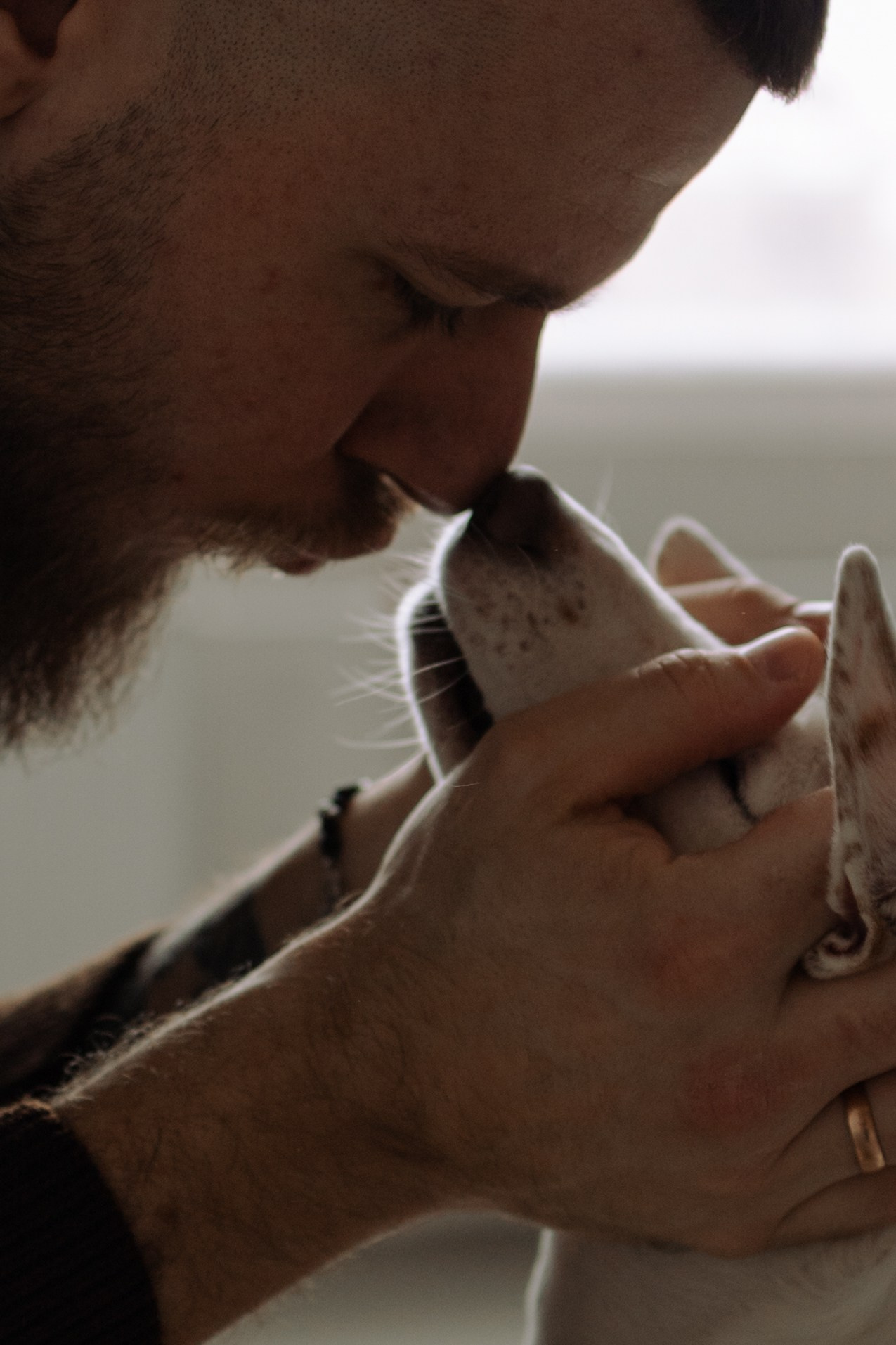 Луна и ее семья. Фотограф — Анималист | Санкт-Петербург