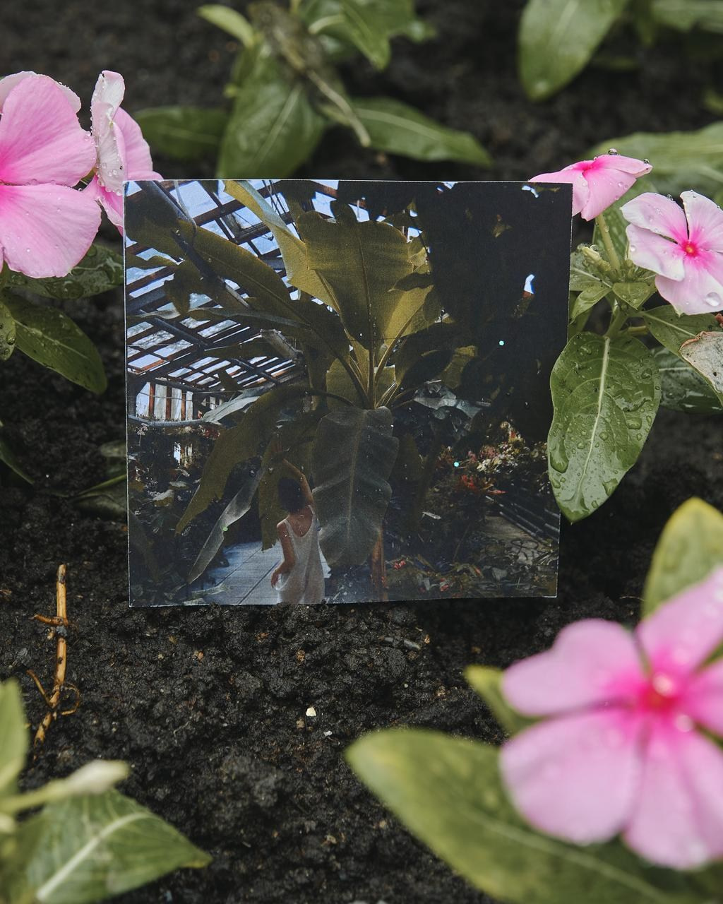 Exhibition for rain. Контент-креатор Паша Норицын