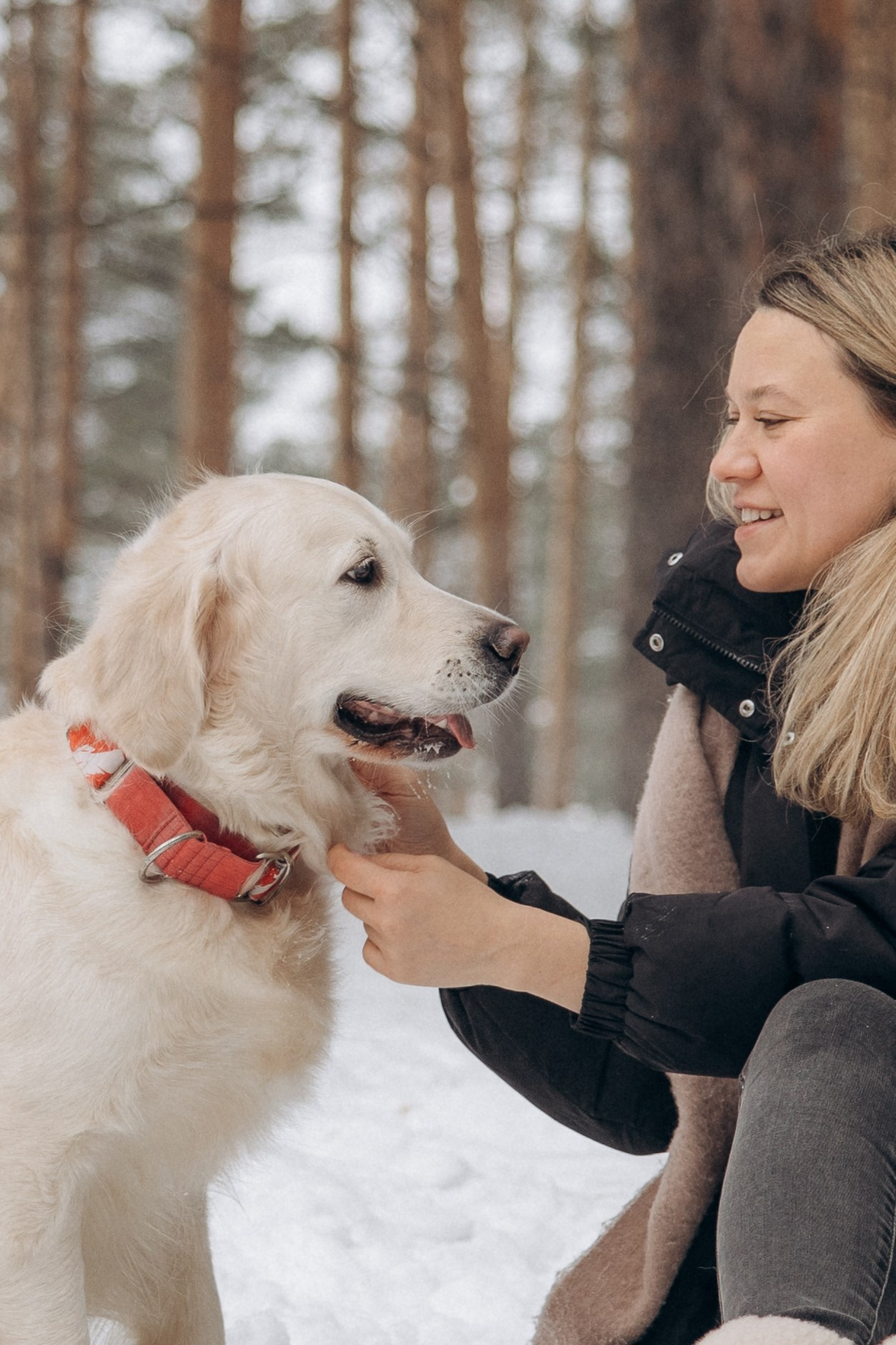 Зима. Лес. Татьяна и Делла. Фотограф анималист в Казани Алина Сулейманова. Фотограф животных