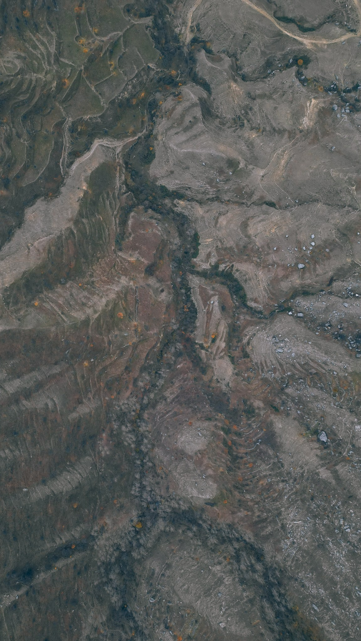 Дагестан 2023. Человек с фотокамерой