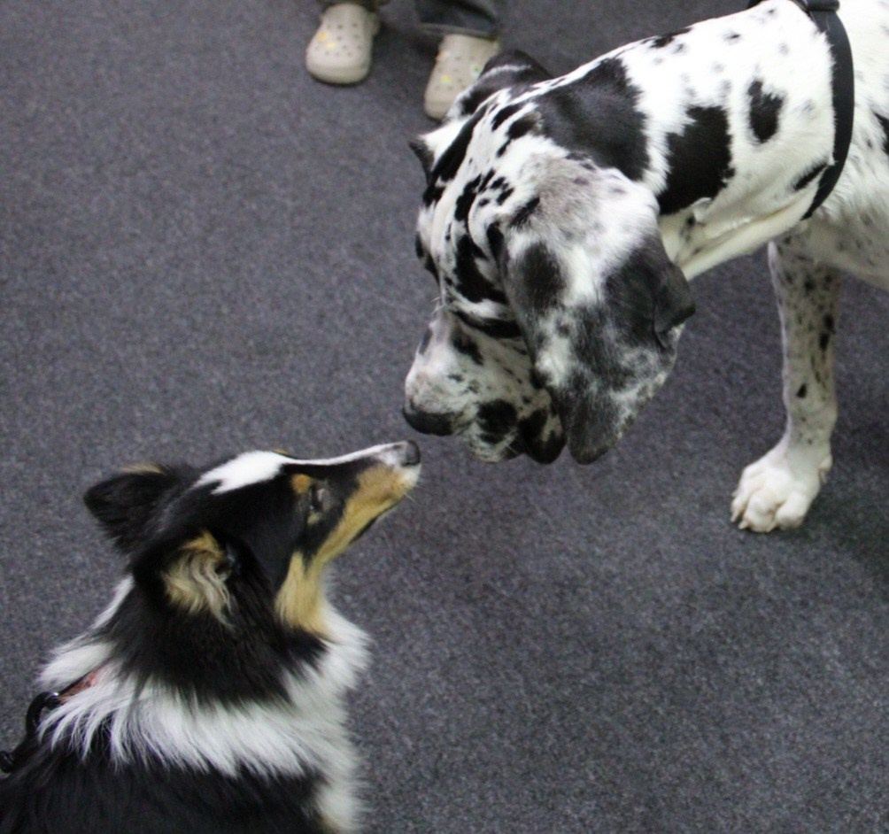 Репортаж УС «ДЦ Ральф». Катя Попова|ЛайфСтайл фотограф