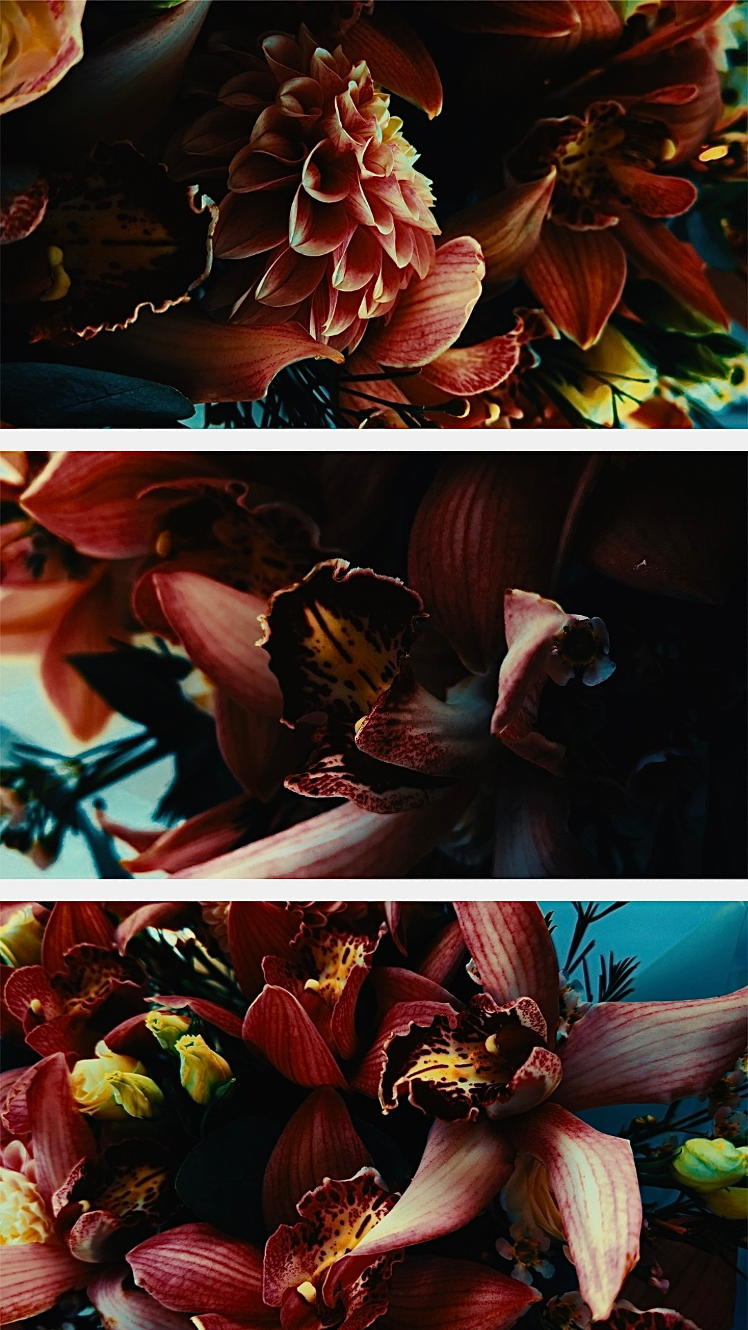 SMM / дизайн-оформление. Фотограф контент-мейкер в Москве