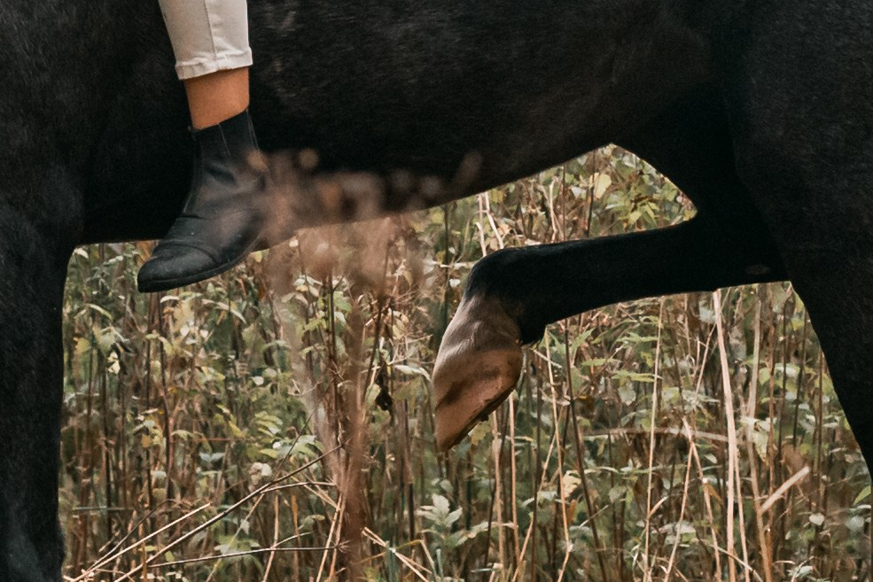 Аня и Джози. Фотограф-анималист Татьяна Степанова