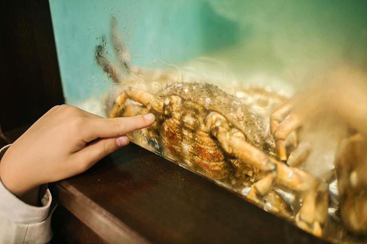 Ксюша и Рома|Португалия. Свадебный и семейный фотограф в Санкт-Петербурге Валерия Бойкова