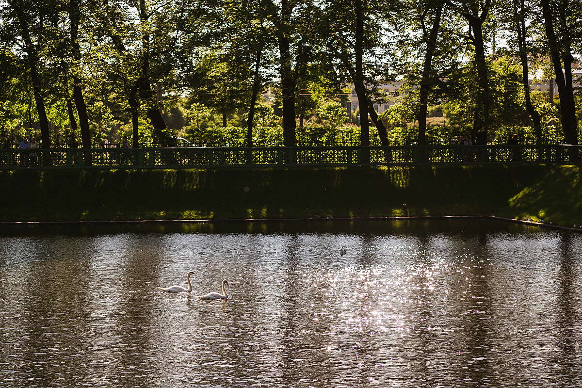 Марина и Глеб. Свадебный и семейный фотограф в Санкт-Петербурге Валерия Бойкова