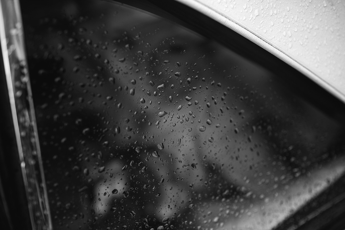 Вероника и Индрих. Свадебный и семейный фотограф в Санкт-Петербурге Валерия Бойкова