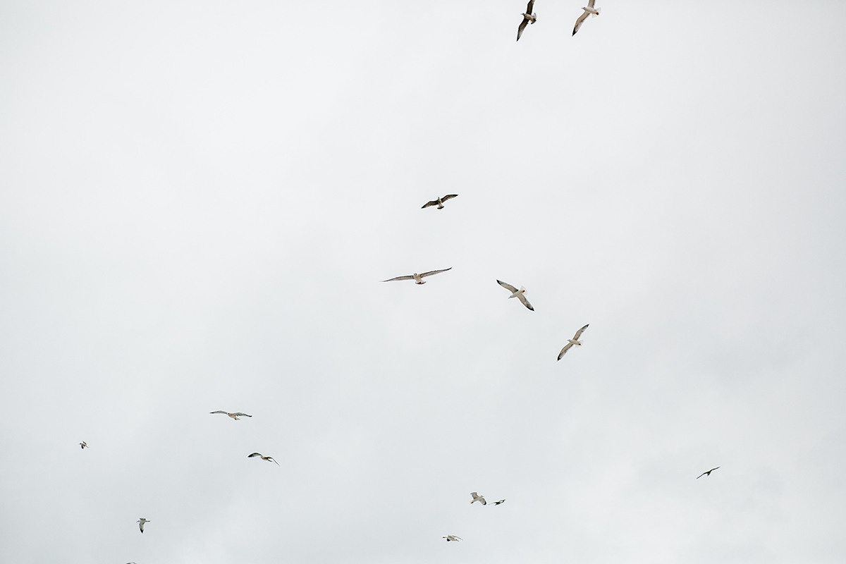 Ксюша и Рома|Португалия. Свадебный и семейный фотограф в Санкт-Петербурге Валерия Бойкова