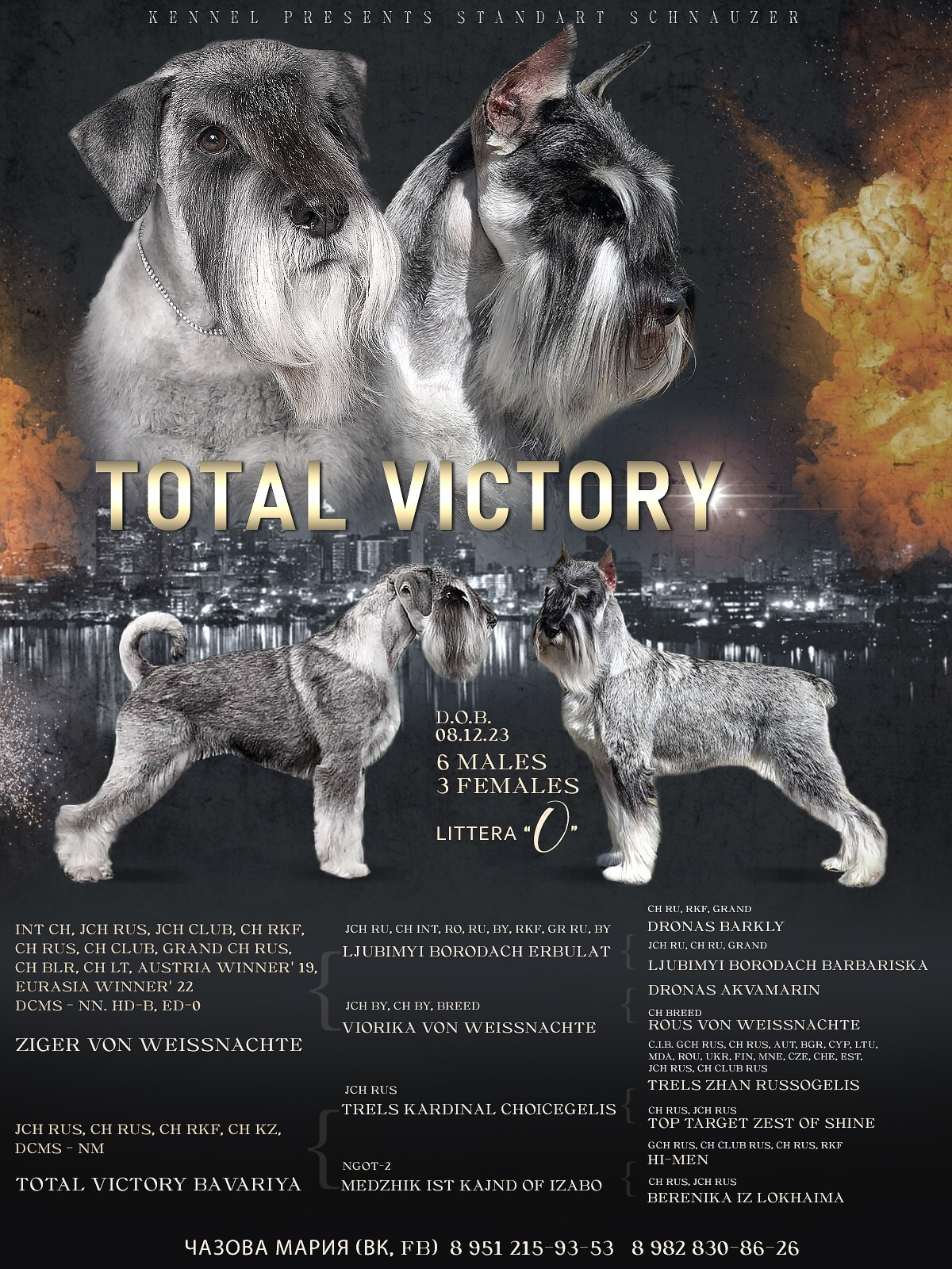 Презентации. Фотограф — анималист в Туле Юлия Лето