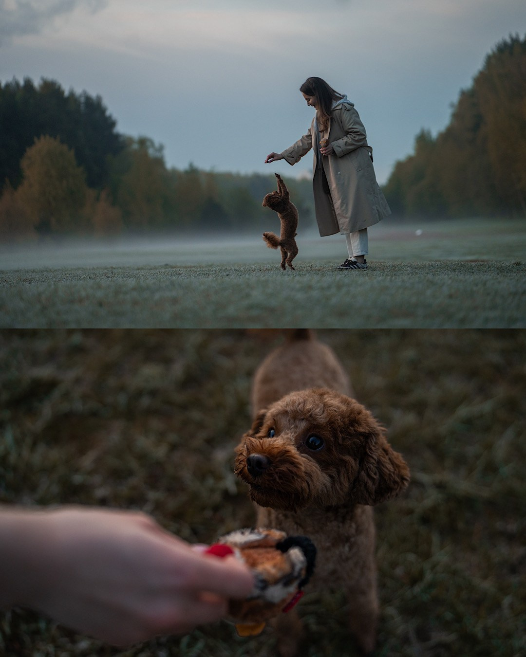 Лия и Чарли. Фотограф анималист в Москве и Санкт-Петербурге Свиридова Анна