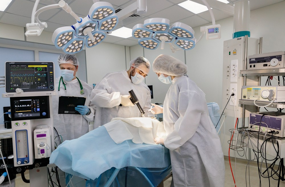 Бизнес фотосессия для ветеринарной клиники Казань. Промышленный фотограф | Фото для бизнеса | Казань и РФ