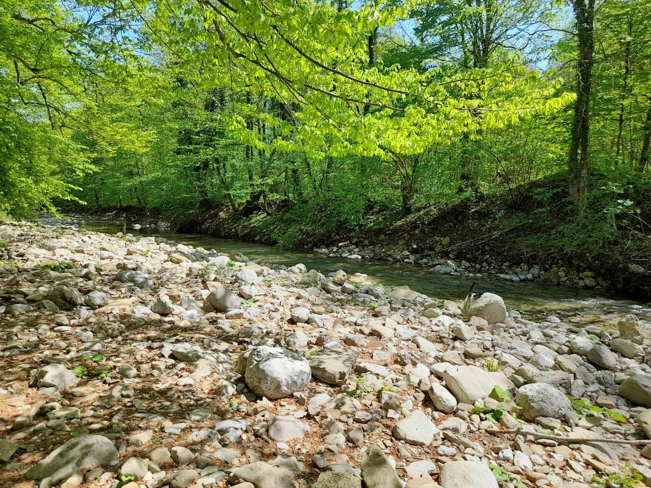 Горы 2025. Собор Отрасли