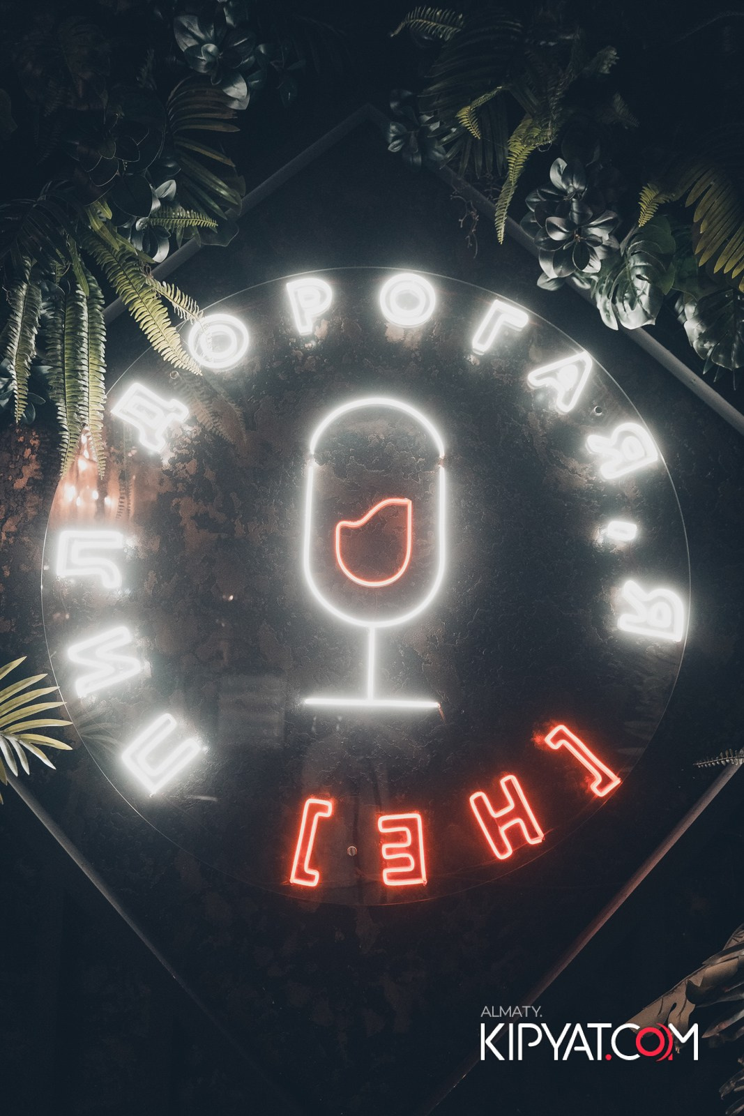 ДОРОГАЯ, Я НЕ ПИЛ. КИПЯТКОМ АЛМАТЫ!