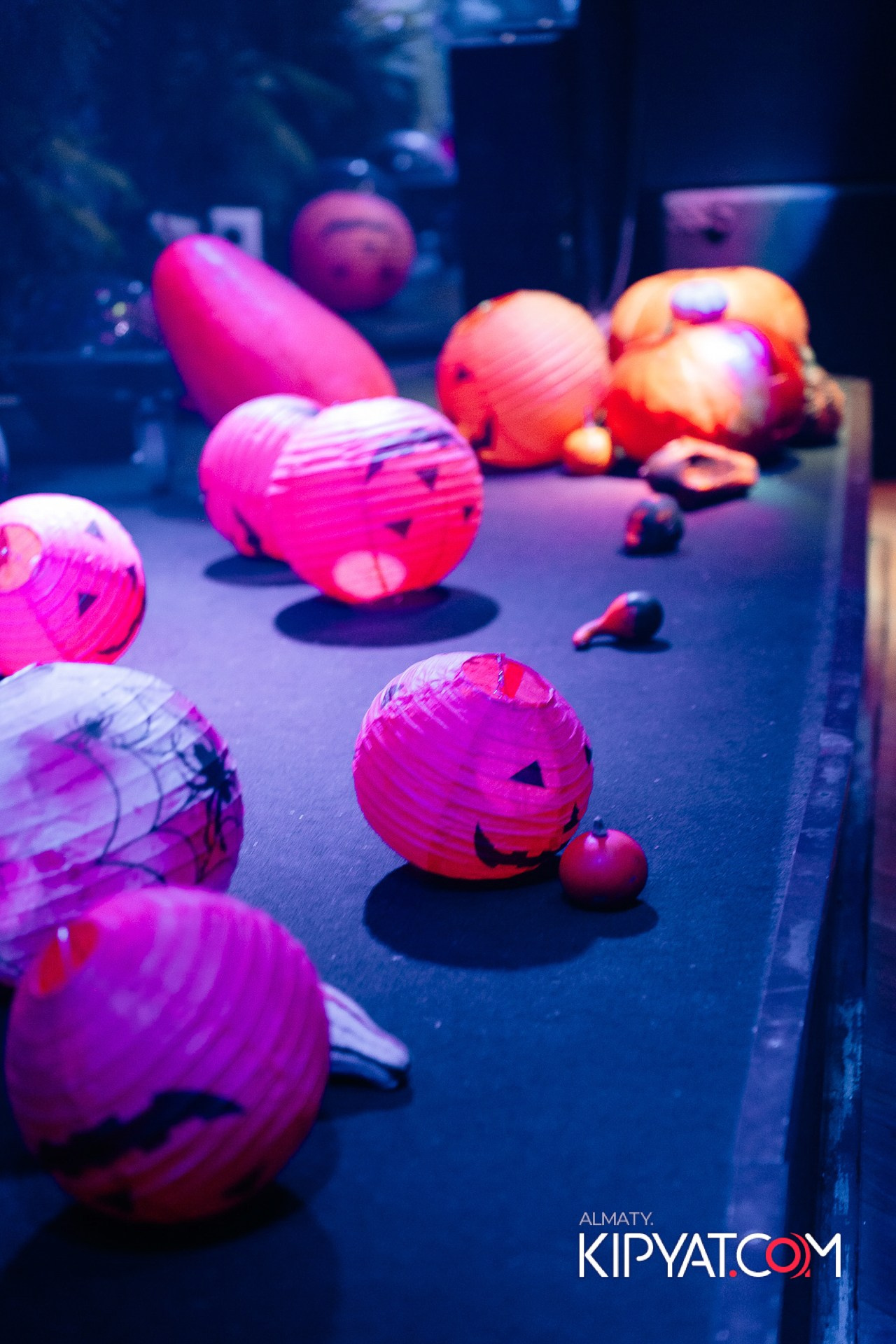 УХО И МЕДВЕДЬ НА КУРМАНГАЗЫ. КИПЯТКОМ АЛМАТЫ!