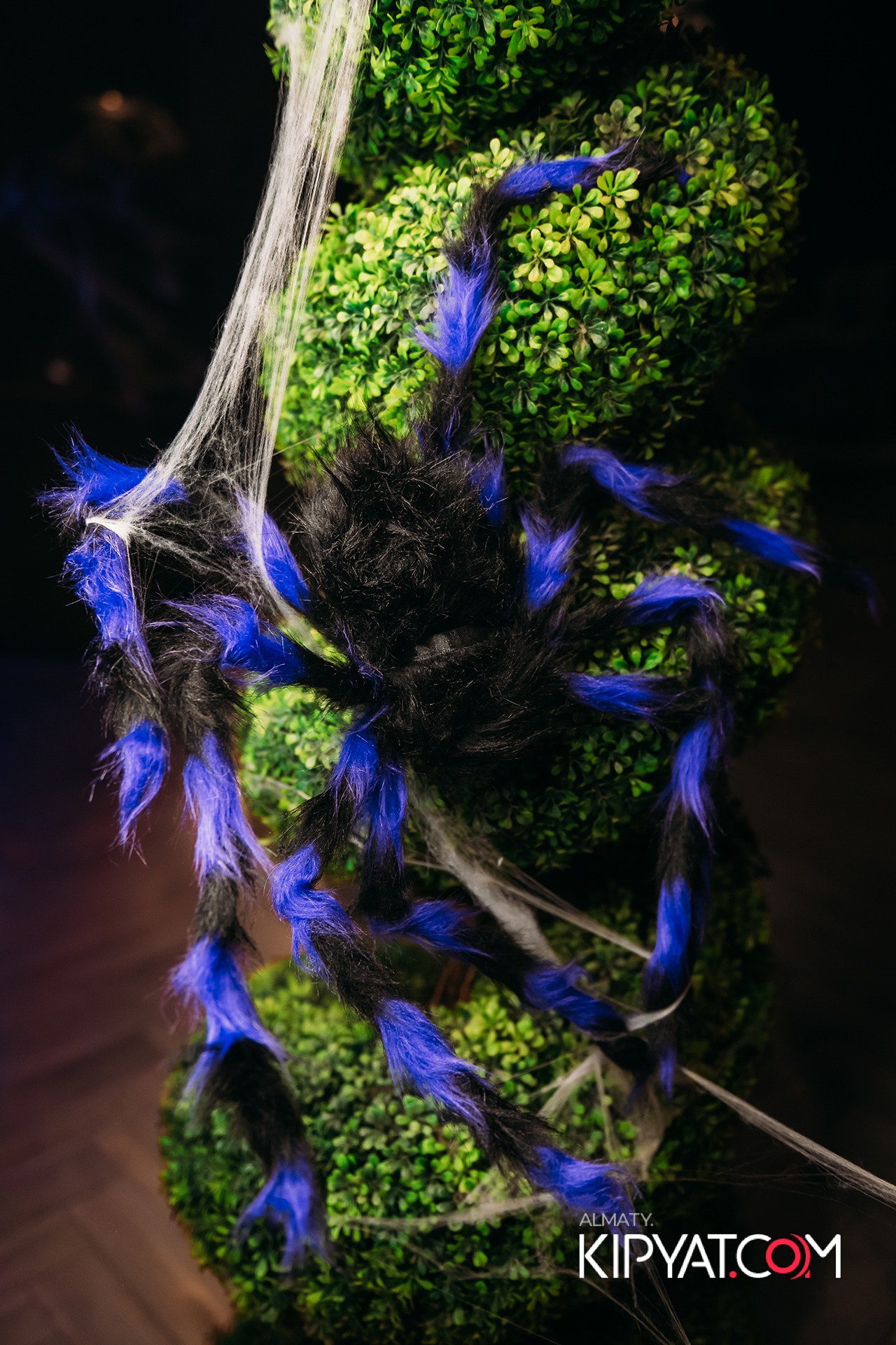 ROTANA GRILL LOUNGE. КИПЯТКОМ АЛМАТЫ!