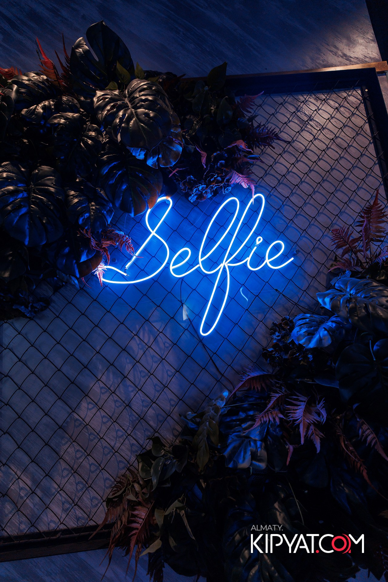 ДОРОГАЯ, Я НЕ ПИЛ. КИПЯТКОМ АЛМАТЫ!