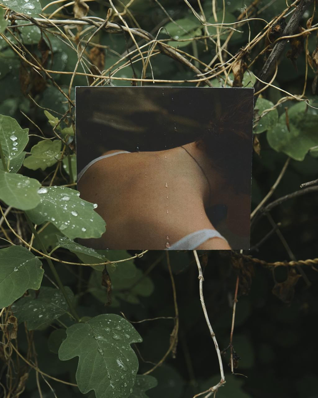 Exhibition for rain. Контент-креатор Паша Норицын