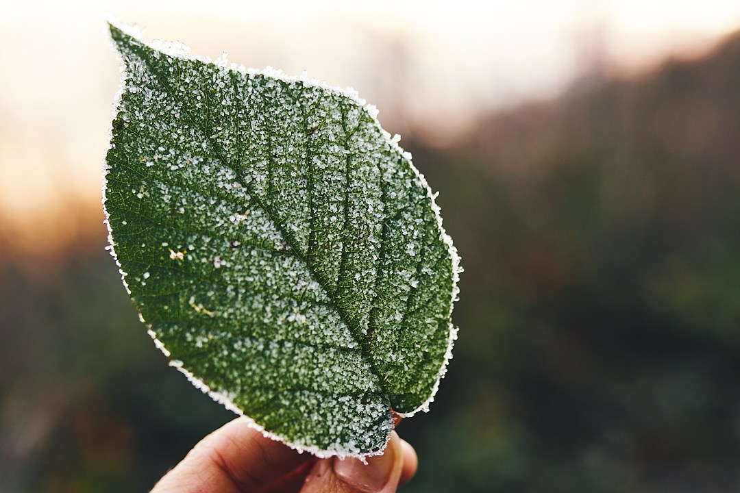 Фотографии с похода на водопад Поликария. Фотограф в Сочи Катя Гончарова