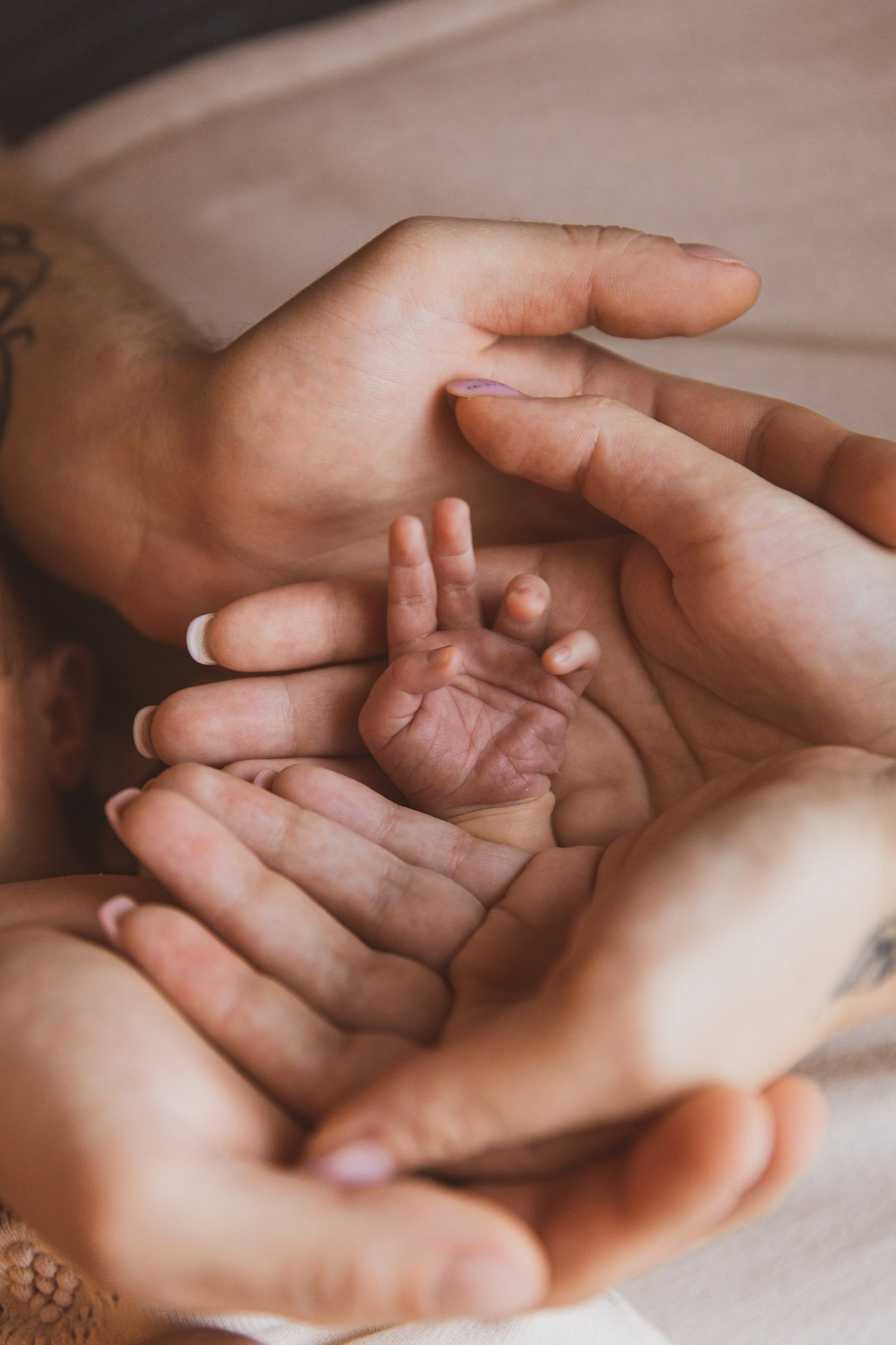 Отзывы. Фотограф Москва и МО Анастасия Пясковская