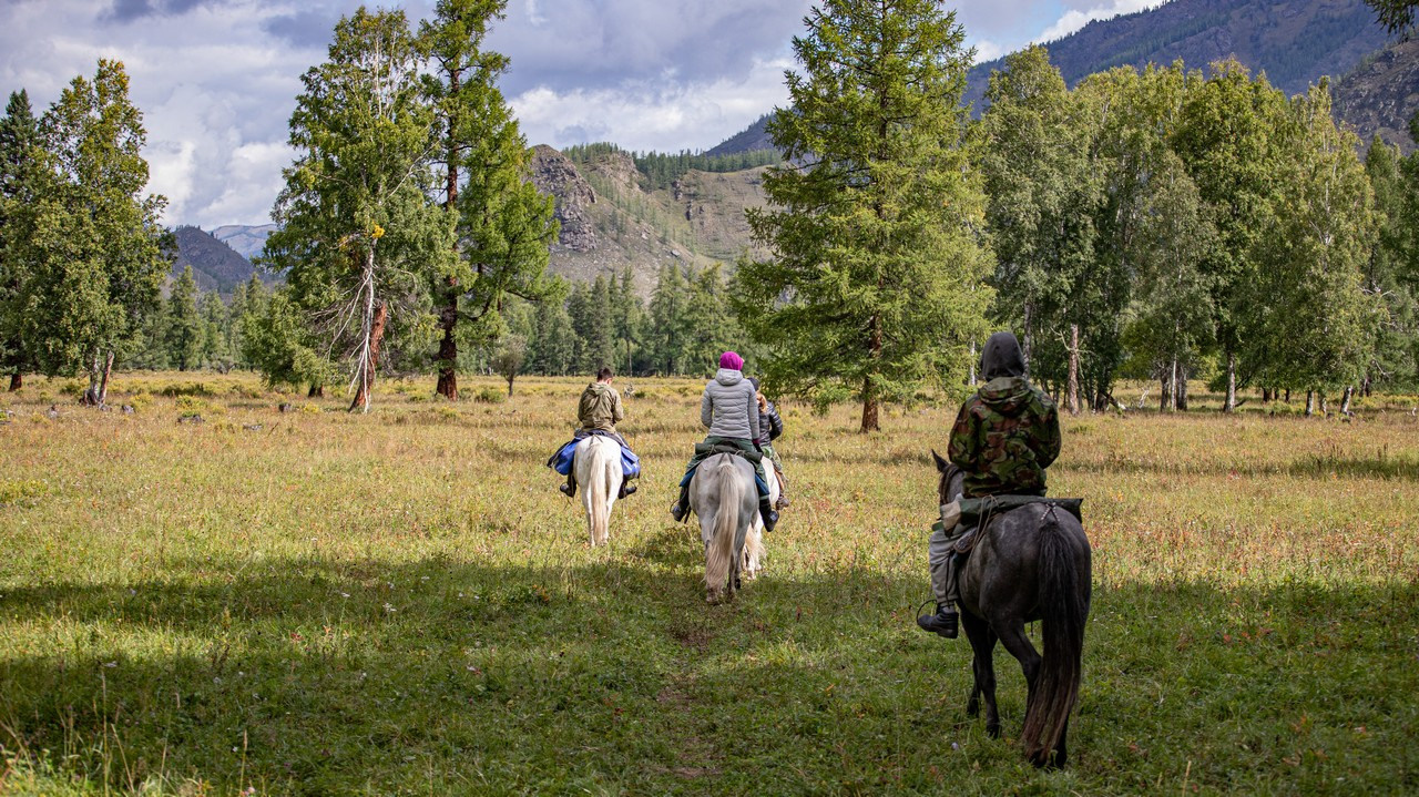 Погружение в Алтай 2022. Фотограф Эдуард Алмадаков