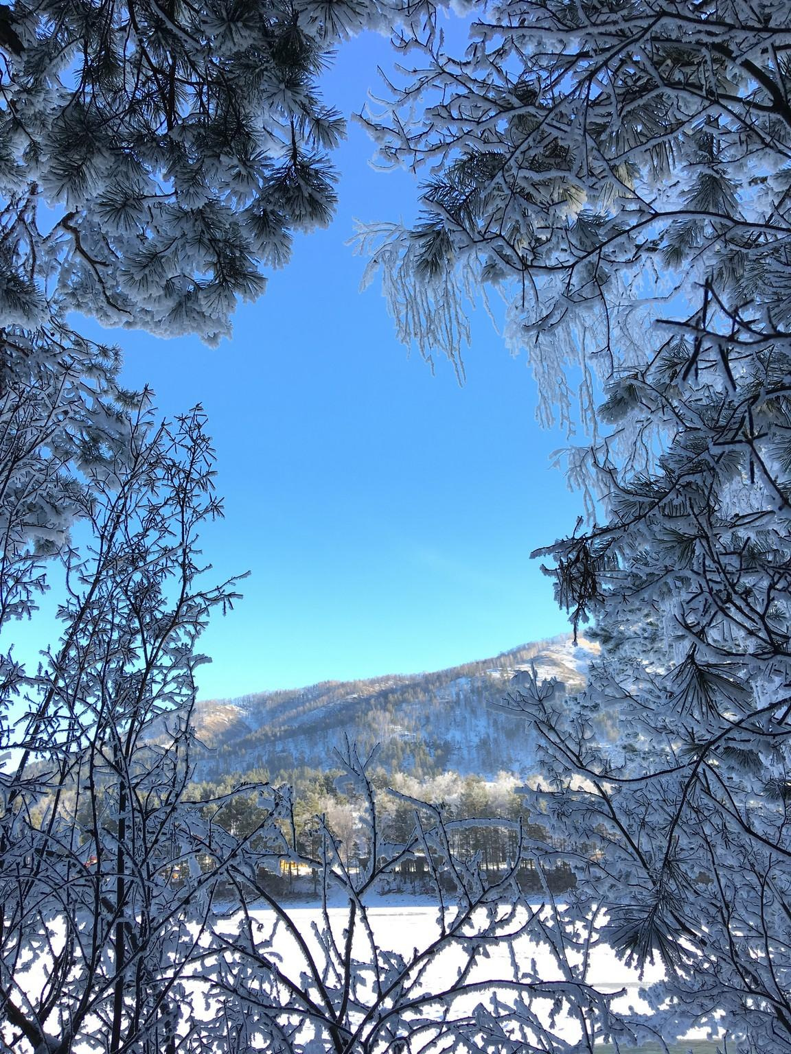 Зимний Чемал. Фотограф Эдуард Алмадаков