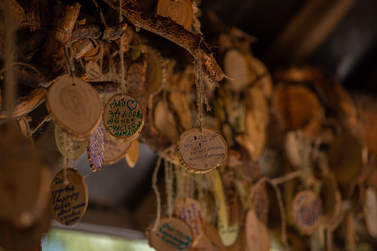 Золотое полукольцо Алтая 2022. Фотограф Эдуард Алмадаков