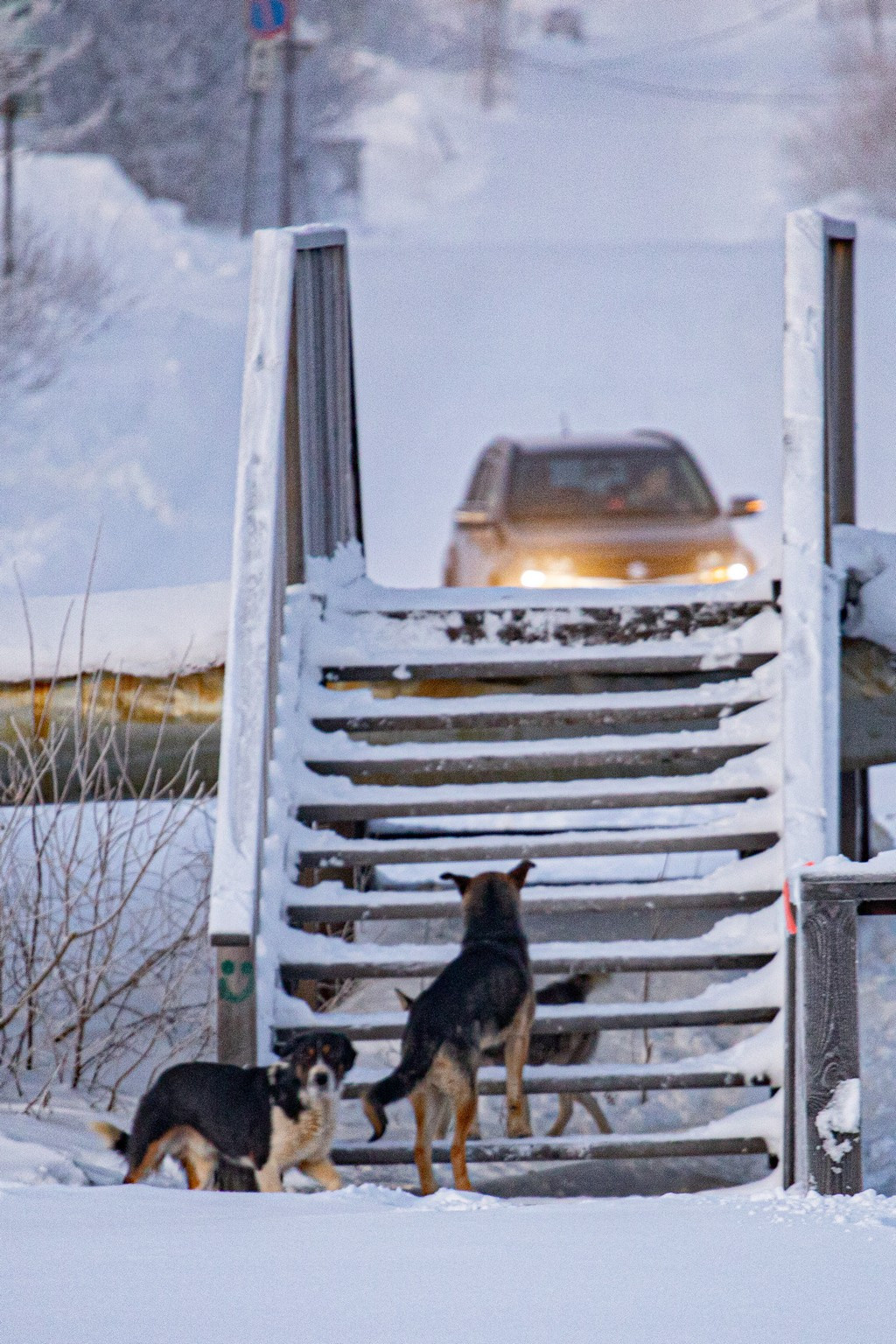 Дудинка -45 С. Фотограф Эдуард Алмадаков