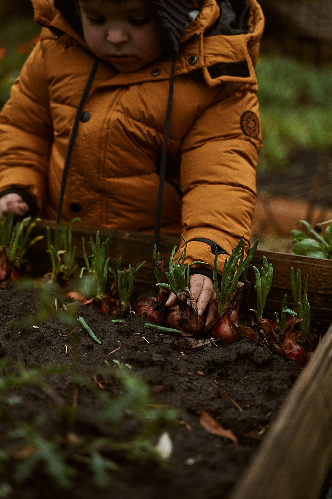 В гостях у бабушки. Фотограф в Санкт-Петербурге | Аня Маленчук