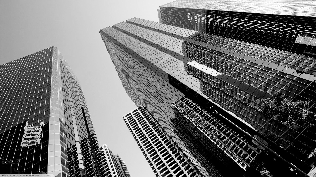 Юридическая компания «Прайм Эдвайзер»