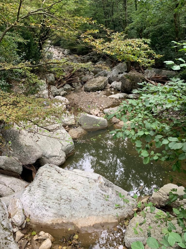 Сочи | 05-06.10.2019. Галерея Фантим