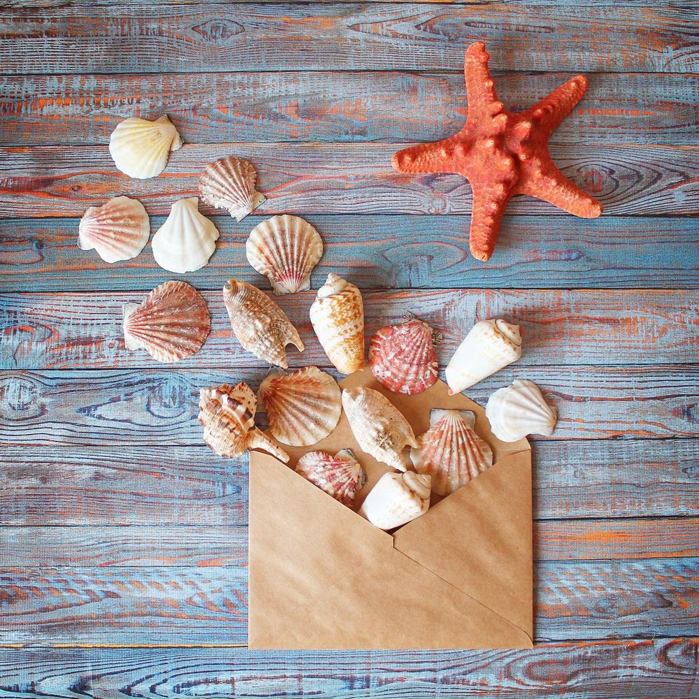 ПРЕДМЕТКА. Фотограф для маркетплейсов Михаил Бове