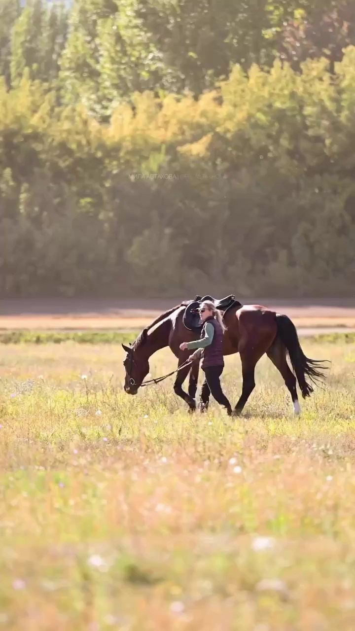 Видео Конкур|Рысистые бега. Мила Астахова