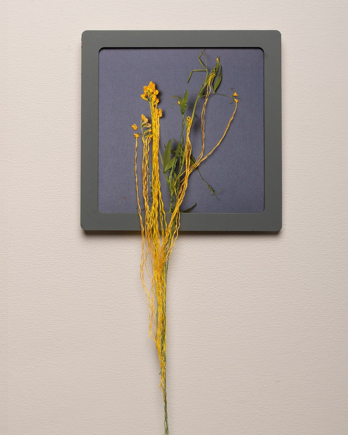 Заполняя пустоту. Фотохудожник АРТ-фотограф Ира Будниченко Москва