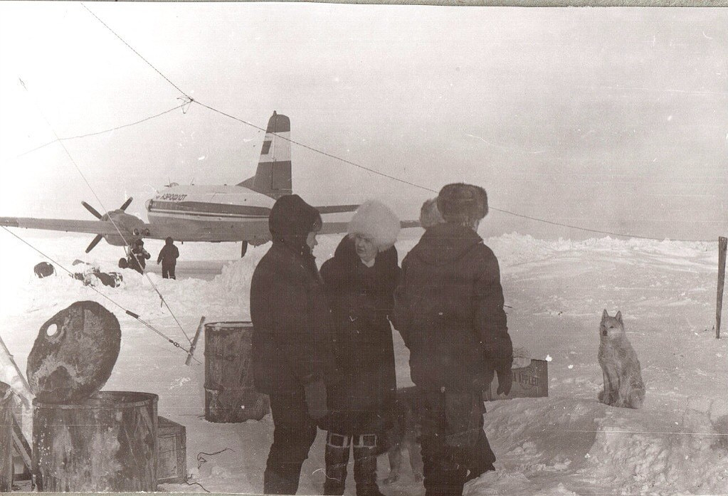 Исторические фотографии. Фотоальбом показывающий увлекательный мир авиации и мир медведей Андрея Иванова