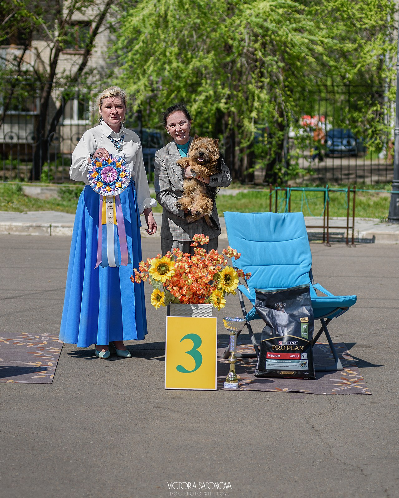 18–19 мая 2024 Благовещенск. Фотограф анималист Благовещенск. Сафонова Виктория