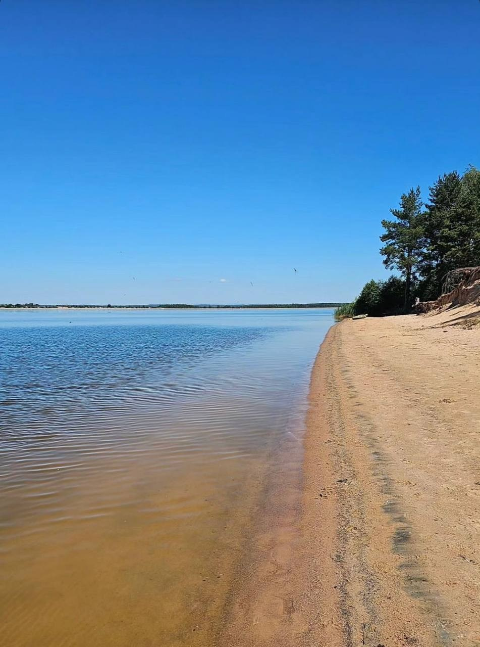 Территория. Добро пожаловать в Кемпинг — уникальное место для отдыха на лоне природы!