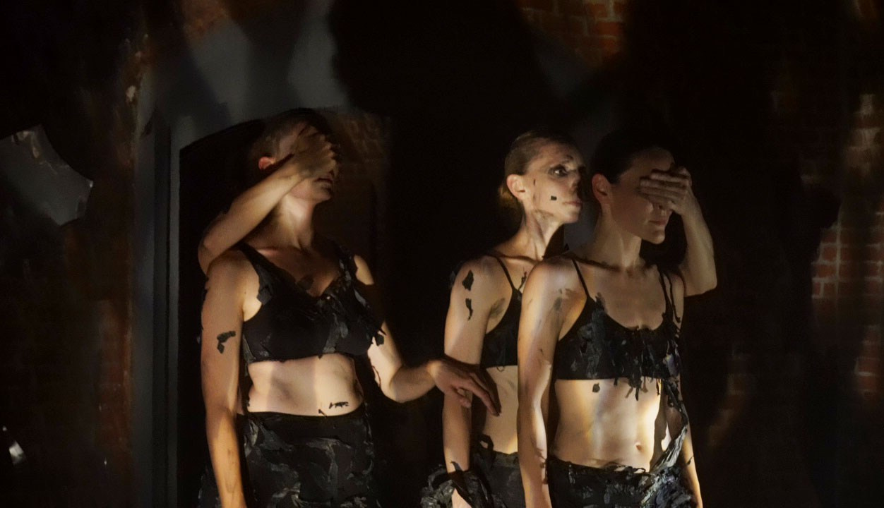 Красное дерево. Фото / Видеосъемка в Москве