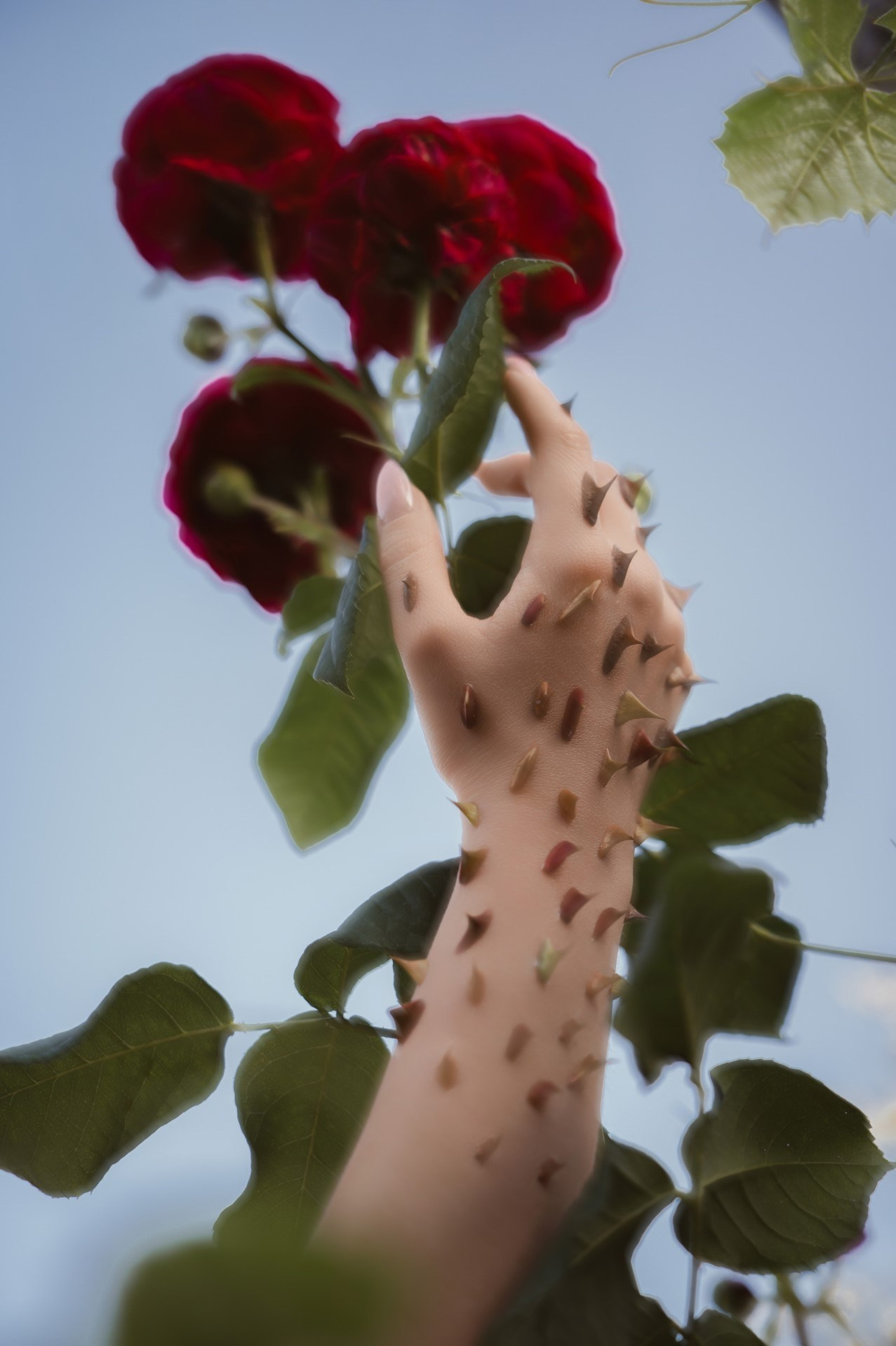 Курс «БОЛЬШОЙ И ГРОМКИЙ!». Университет по фотографии Игоря Мальцева