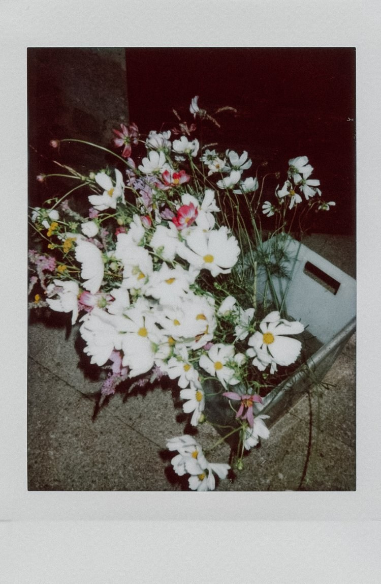 Стас и Карина. Свадебный и семейный фотограф Краснодар/Сочи/Домбай Марина Фурса