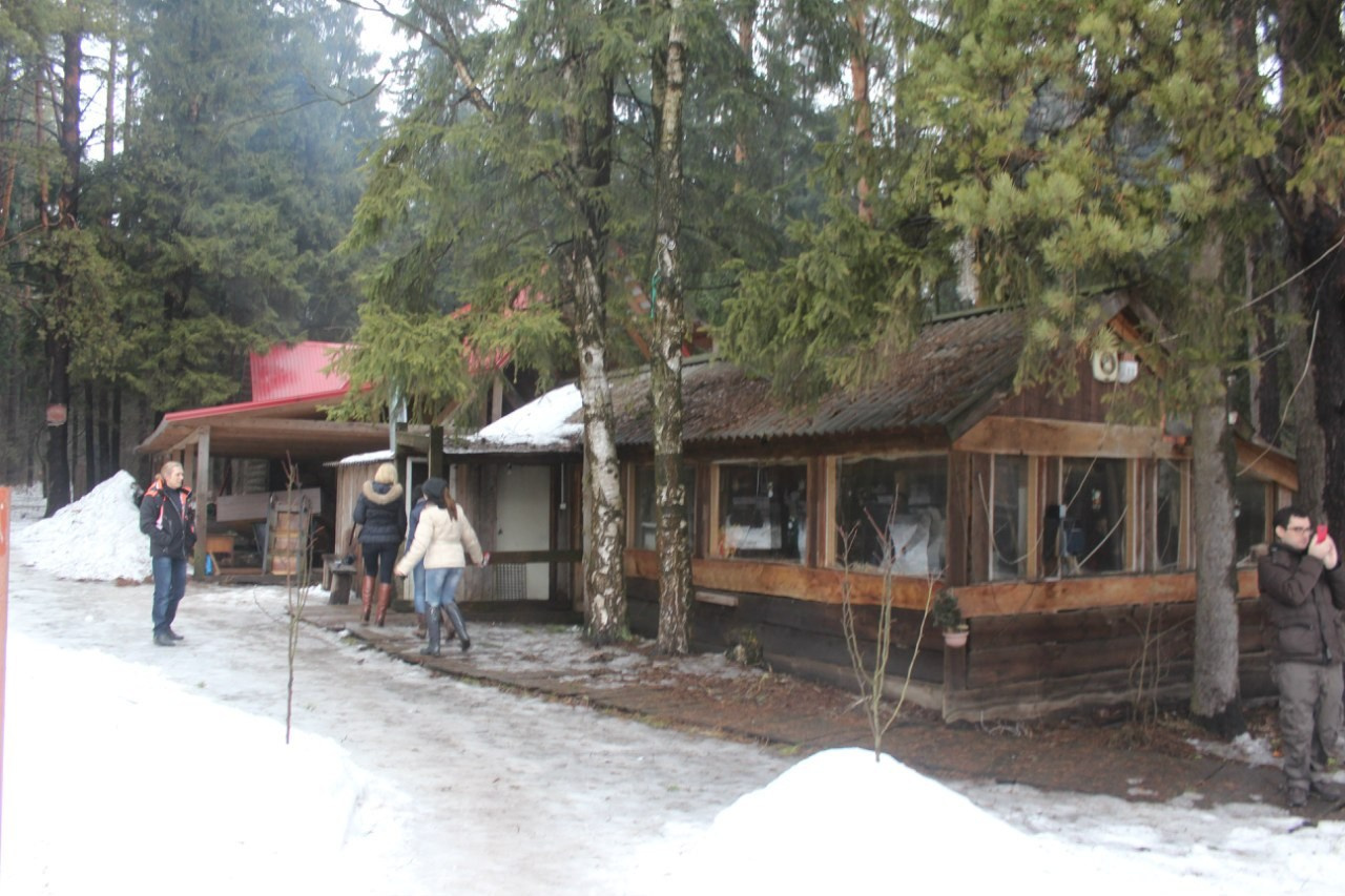 Лошадинг | 01.03.2015. Галерея Фантим