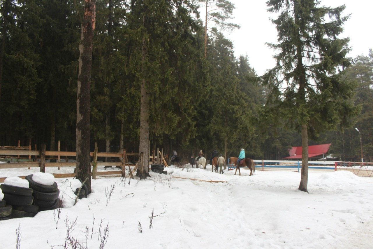 Лошадинг | 01.03.2015. Галерея Фантим