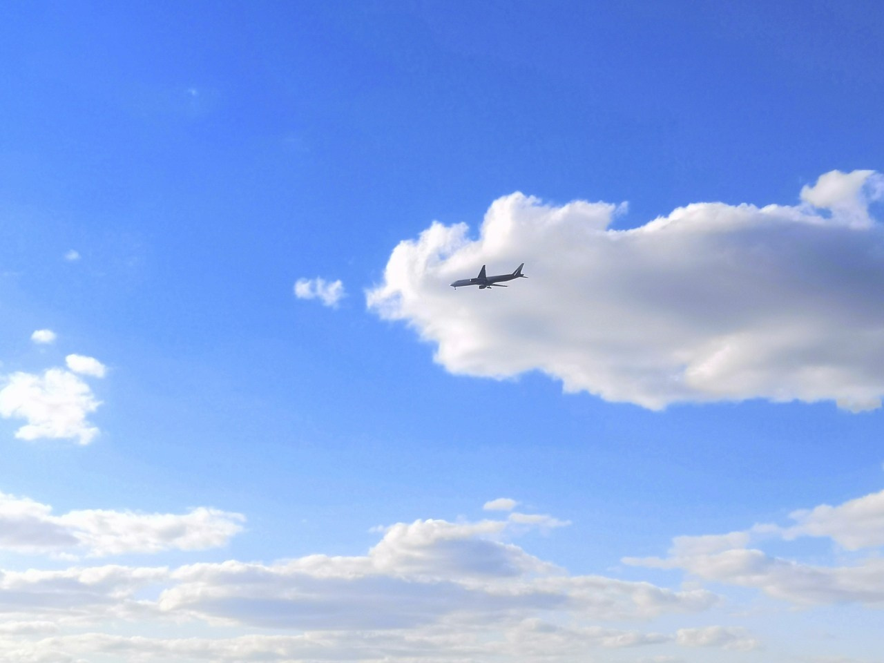 Шашлыки. Открытие сезона | 01.05.2021. Галерея Фантим