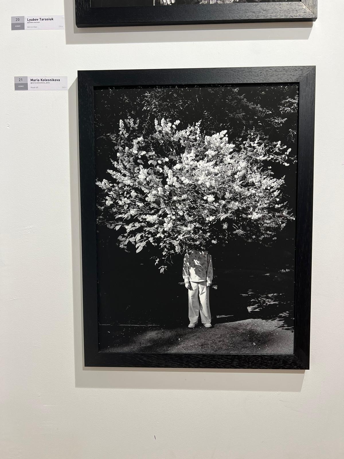 Выставки. Колесникова Мария Арт-фотограф