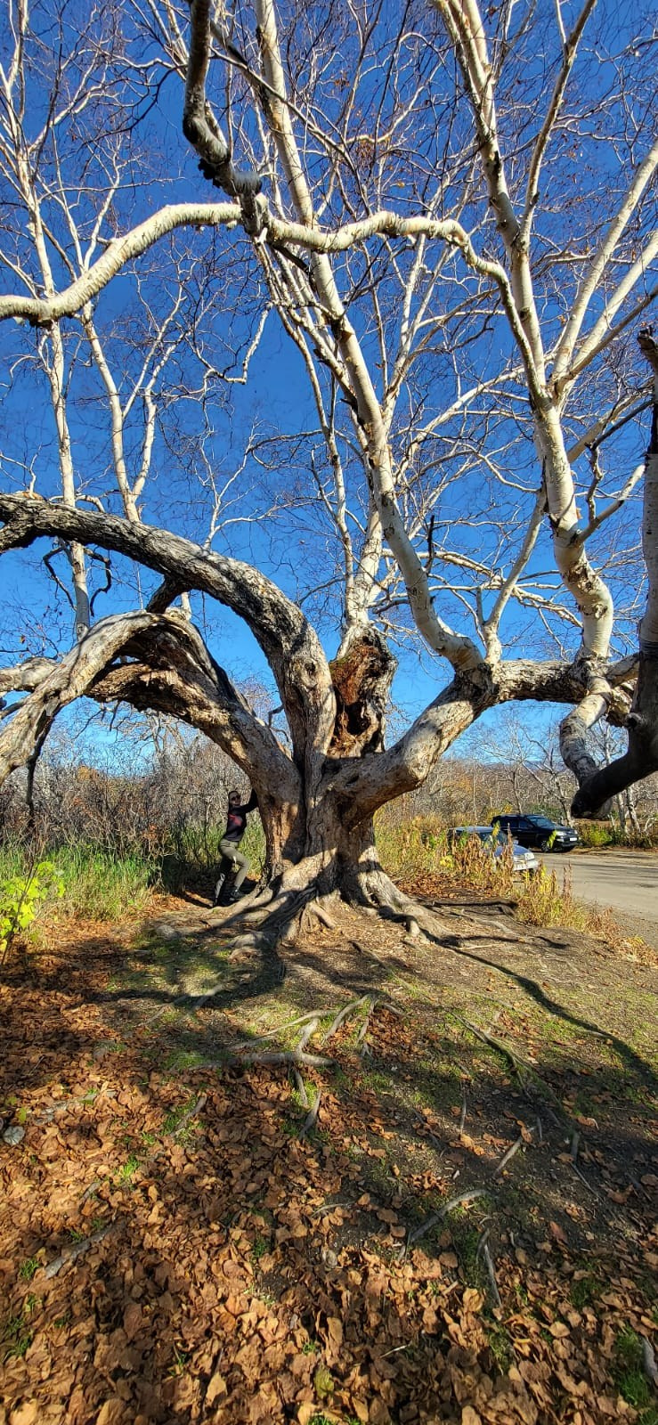 Озеро Толмачева и термальные источники. Экскурсионные туры по Камчатке