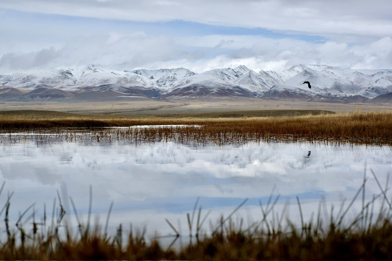 Алтай. Фотограф Евгений Андреев