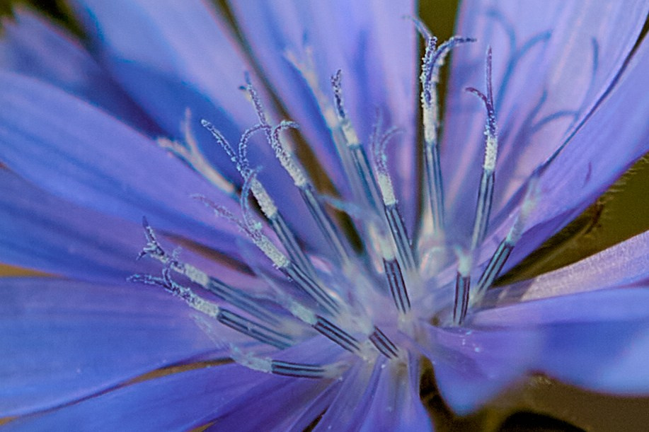 Фотографии природы