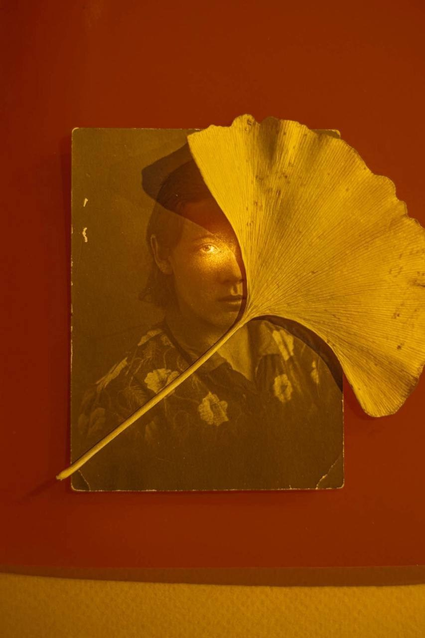 Натэлла Маисурадзе